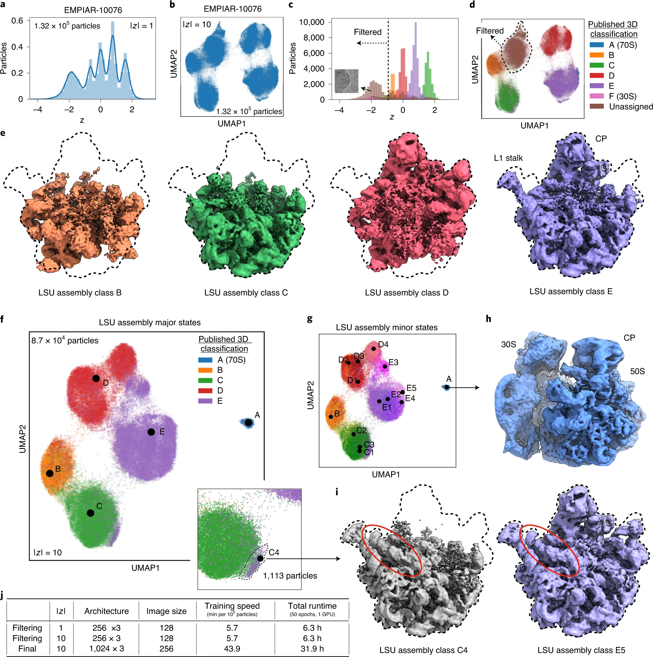 Figure 5 from Zhong et al 2021.