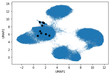 Location of the particles in latent space