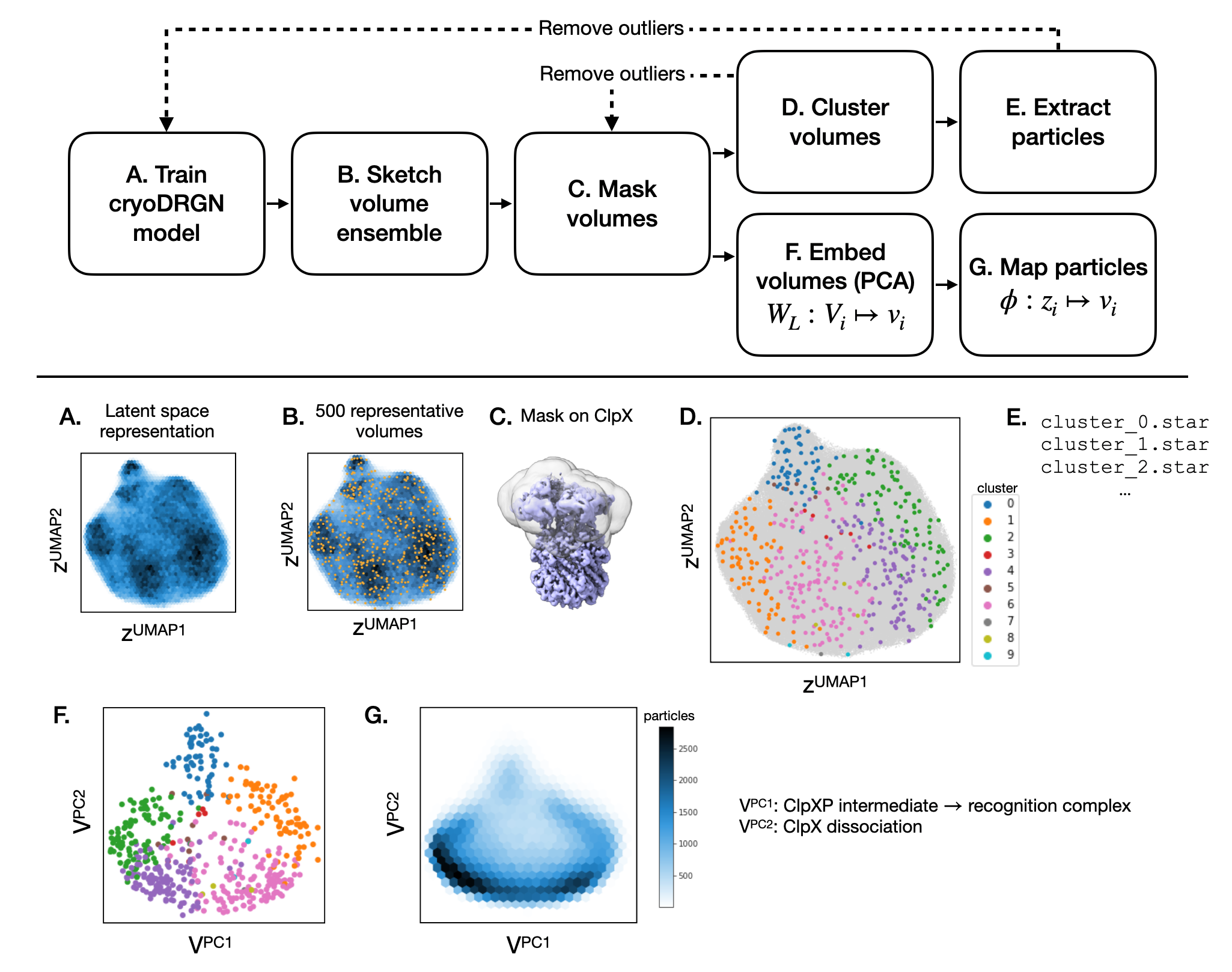 Overview of the cryodrgn landscape analysis pipeline.