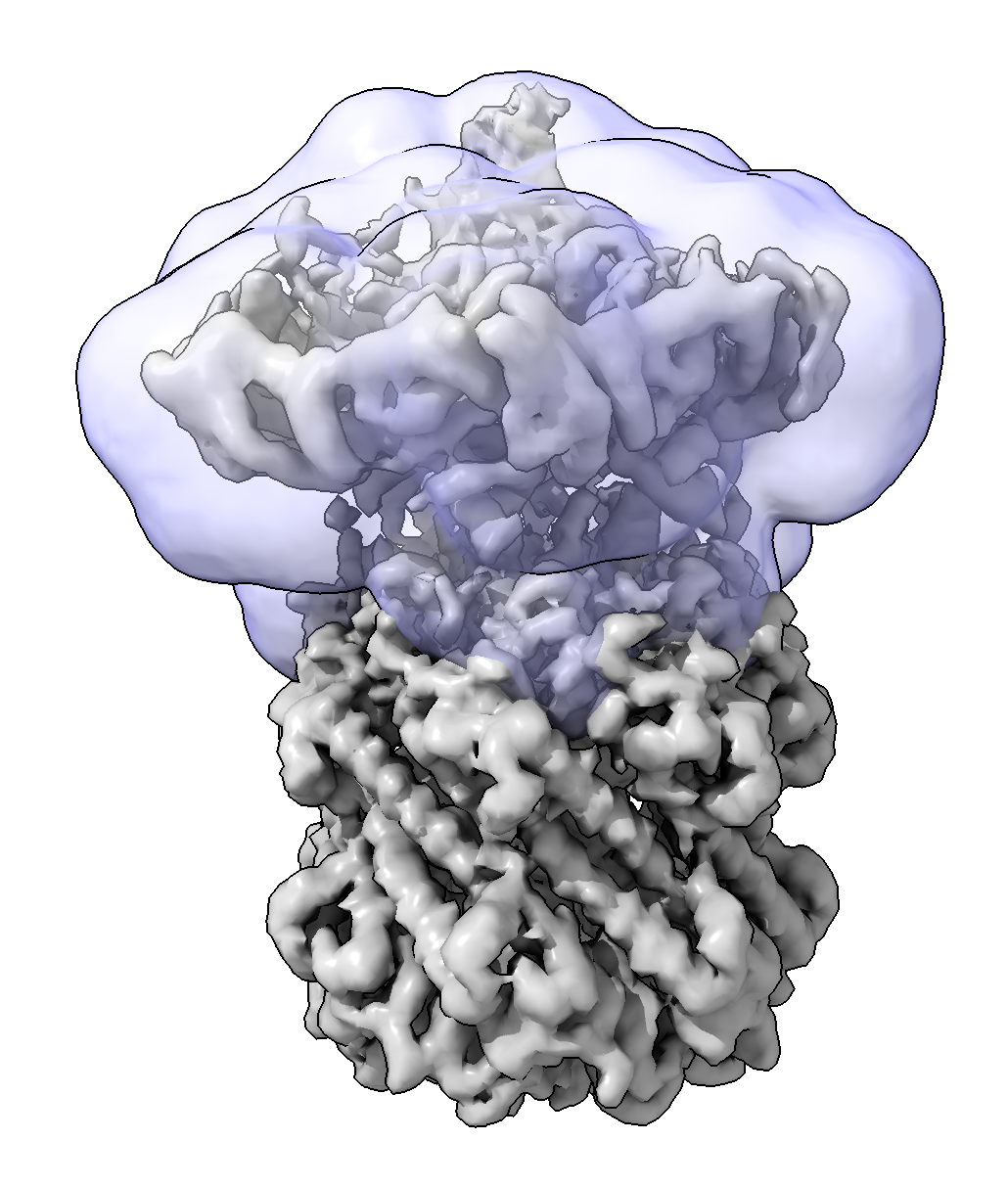 A user-defined mask around the heterogeneous region of the complex